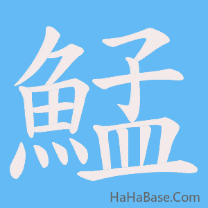 《鯭》的筆順動畫寫字動畫演示