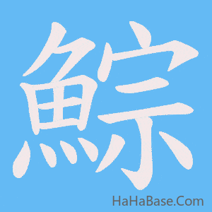 《鯮》的筆順動畫寫字動畫演示