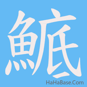 《鯳》的筆順動畫寫字動畫演示