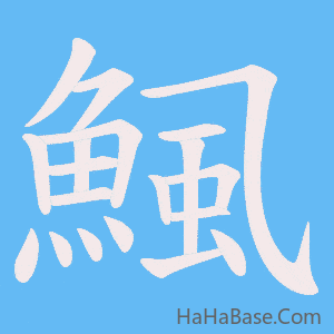 《鯴》的筆順動畫寫字動畫演示
