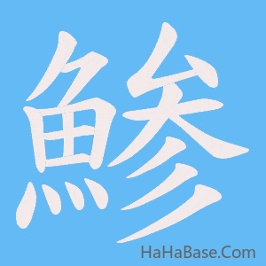 《鯵》的筆順動畫寫字動畫演示