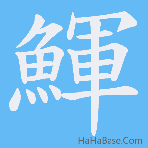 《鯶》的筆順動畫寫字動畫演示