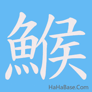 《鯸》的筆順動畫寫字動畫演示