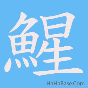《鯹》的筆順動畫寫字動畫演示