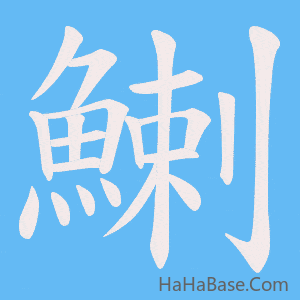 《鯻》的筆順動畫寫字動畫演示