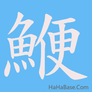 《鯾》的筆順動畫寫字動畫演示
