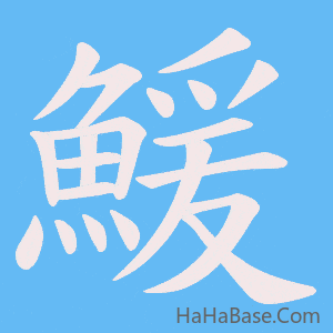 《鰀》的筆順動畫寫字動畫演示