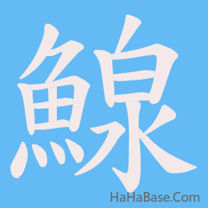 《鰁》的筆順動畫寫字動畫演示