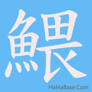 《鰃》的筆順動畫寫字動畫演示