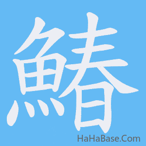 《鰆》的筆順動畫寫字動畫演示