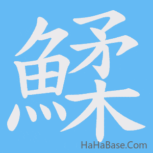 《鰇》的筆順動畫寫字動畫演示
