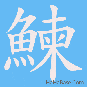 《鰊》的筆順動畫寫字動畫演示
