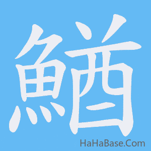《鰌》的筆順動畫寫字動畫演示