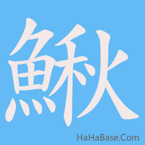 《鰍》的筆順動畫寫字動畫演示