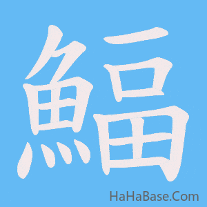 《鰏》的筆順動畫寫字動畫演示