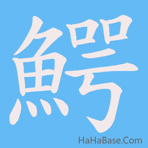 《鰐》的筆順動畫寫字動畫演示