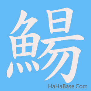 《鰑》的筆順動畫寫字動畫演示