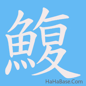 《鰒》的筆順動畫寫字動畫演示