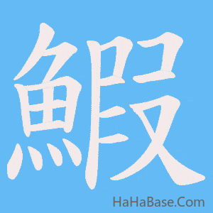 《鰕》的筆順動畫寫字動畫演示
