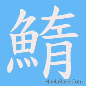 《鰖》的筆順動畫寫字動畫演示