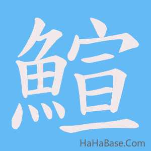 《鰚》的筆順動畫寫字動畫演示