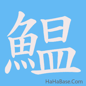 《鰛》的筆順動畫寫字動畫演示