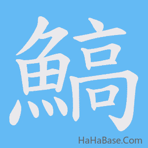 《鰝》的筆順動畫寫字動畫演示
