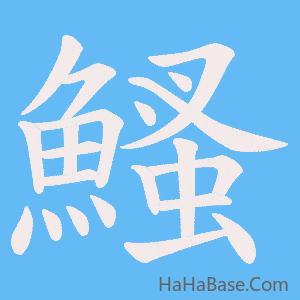 《鰠》的筆順動畫寫字動畫演示