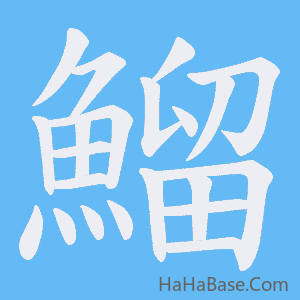 《鰡》的筆順動畫寫字動畫演示
