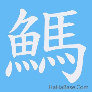 《鰢》的筆順動畫寫字動畫演示