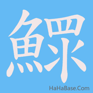 《鰥》的筆順動畫寫字動畫演示