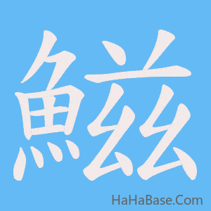 《鰦》的筆順動畫寫字動畫演示