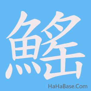 《鰩》的筆順動畫寫字動畫演示