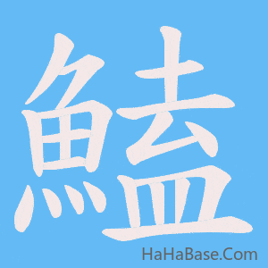《鰪》的筆順動畫寫字動畫演示