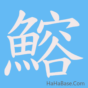 《鰫》的筆順動畫寫字動畫演示