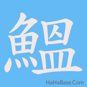 《鰮》的筆順動畫寫字動畫演示