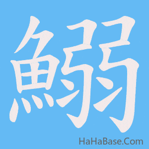 《鰯》的筆順動畫寫字動畫演示