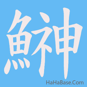 《鰰》的筆順動畫寫字動畫演示