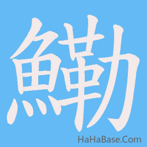 《鰳》的筆順動畫寫字動畫演示