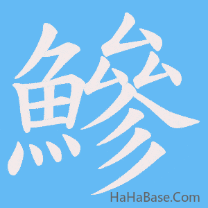 《鰺》的筆順動畫寫字動畫演示