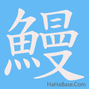 《鰻》的筆順動畫寫字動畫演示