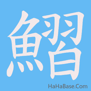 《鰼》的筆順動畫寫字動畫演示
