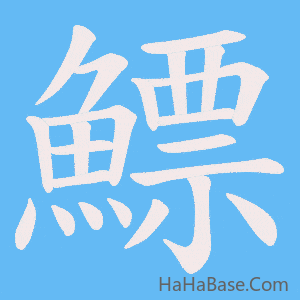 《鰾》的筆順動畫寫字動畫演示