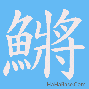 《鱂》的筆順動畫寫字動畫演示