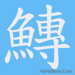 《鱄》的筆順動畫寫字動畫演示