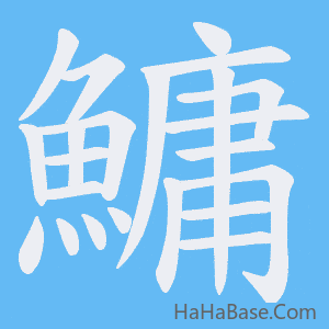 《鱅》的筆順動畫寫字動畫演示