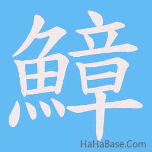 《鱆》的筆順動畫寫字動畫演示
