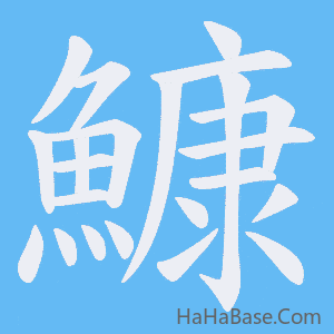 《鱇》的筆順動畫寫字動畫演示