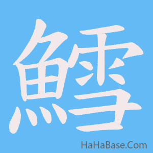 《鱈》的筆順動畫寫字動畫演示