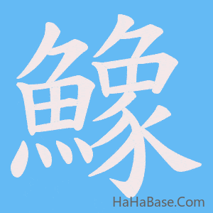 《鱌》的筆順動畫寫字動畫演示